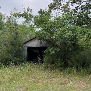 Photo #9 of SOLD property in Off Manning Drive, Valentines, VA 36.0 acres