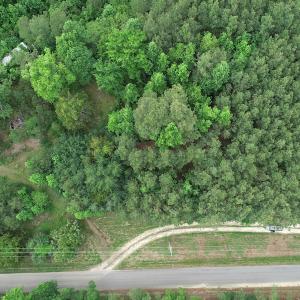 Photo #10 of SOLD property in Off Manning Drive, Valentines, VA 36.0 acres