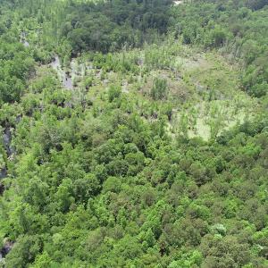 Photo #12 of 32378 Jenkins Mill Road, Franklin, VA 10.4 acres
