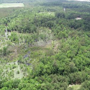 Photo #14 of 32378 Jenkins Mill Road, Franklin, VA 10.4 acres