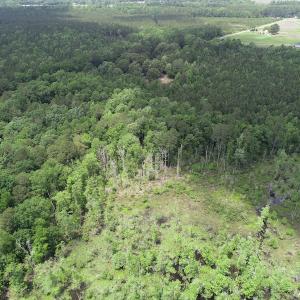 Photo #17 of 32378 Jenkins Mill Road, Franklin, VA 10.4 acres