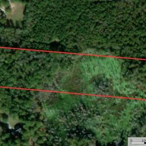 Photo #1 of 32378 Jenkins Mill Road, Franklin, VA 10.4 acres