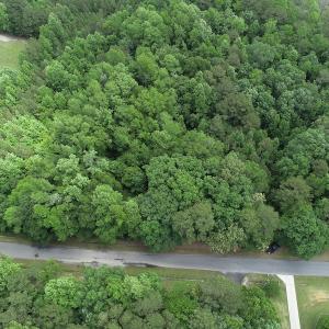 Photo #2 of 32378 Jenkins Mill Road, Franklin, VA 10.4 acres