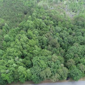 Photo #3 of 32378 Jenkins Mill Road, Franklin, VA 10.4 acres