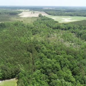 Photo #4 of 32378 Jenkins Mill Road, Franklin, VA 10.4 acres