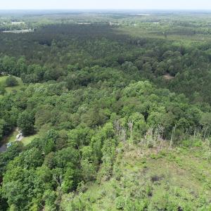 Photo #5 of 32378 Jenkins Mill Road, Franklin, VA 10.4 acres