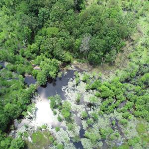 Photo #8 of 32378 Jenkins Mill Road, Franklin, VA 10.4 acres