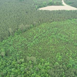 Photo #7 of SOLD property in Off Mason Grove Lane, Valentines, VA 14.3 acres