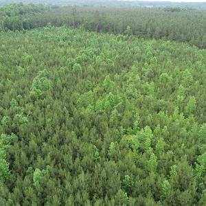 Photo #9 of SOLD property in Off Mason Grove Lane, Valentines, VA 14.3 acres