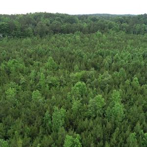 Photo #14 of SOLD property in Off Mason Grove Lane, Valentines, VA 14.3 acres