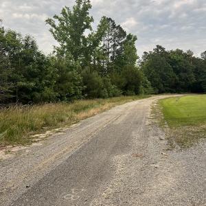 Photo #19 of SOLD property in Off Mason Grove Lane, Valentines, VA 14.3 acres