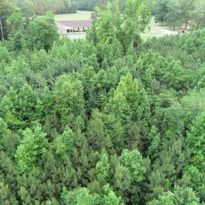 Photo #16 of SOLD property in Off Mason Grove Lane, Valentines, VA 14.3 acres