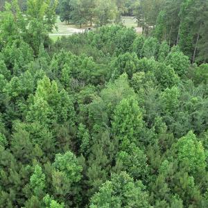 Photo #17 of SOLD property in Off Mason Grove Lane, Valentines, VA 14.3 acres