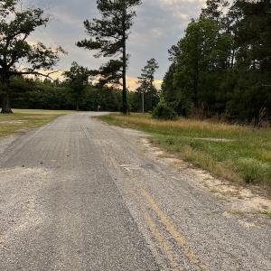 Photo #20 of SOLD property in Off Mason Grove Lane, Valentines, VA 14.3 acres