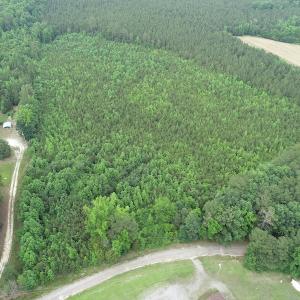 Photo #3 of SOLD property in Off Mason Grove Lane, Valentines, VA 14.3 acres