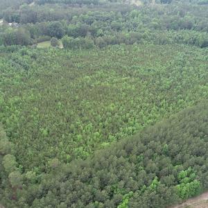 Photo #4 of SOLD property in Off Mason Grove Lane, Valentines, VA 14.3 acres