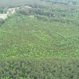Photo #5 of SOLD property in Off Mason Grove Lane, Valentines, VA 14.3 acres