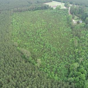 Photo #6 of SOLD property in Off Mason Grove Lane, Valentines, VA 14.3 acres