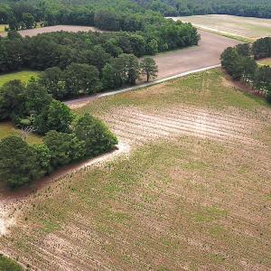 Photo #2 of SOLD property in Lot 1 Corinth Chapel Rd, Suffolk, VA 3.0 acres