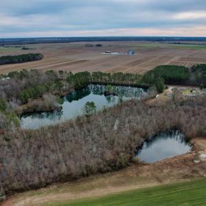 Photo #16 of SOLD property in Off Bourbon Street, Camden, NC 11.6 acres