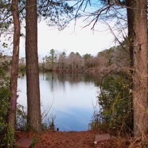Photo #20 of SOLD property in Off Bourbon Street, Camden, NC 11.6 acres