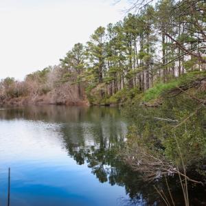 Photo #21 of SOLD property in Off Bourbon Street, Camden, NC 11.6 acres
