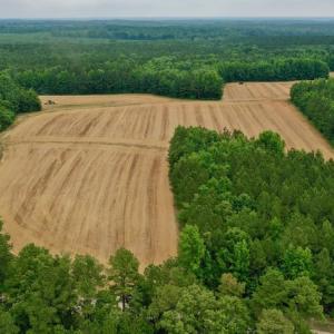 Photo #2 of SOLD property in Off Old Macon Highway, Macon, NC 104.0 acres