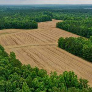 Photo #3 of SOLD property in Off Old Macon Highway, Macon, NC 104.0 acres