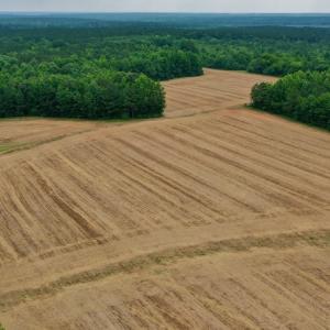 Photo #4 of SOLD property in Off Old Macon Highway, Macon, NC 104.0 acres