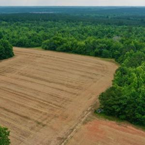 Photo #5 of SOLD property in Off Old Macon Highway, Macon, NC 104.0 acres