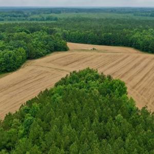 Photo #6 of SOLD property in Off Old Macon Highway, Macon, NC 104.0 acres