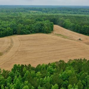 Photo #7 of SOLD property in Off Old Macon Highway, Macon, NC 104.0 acres