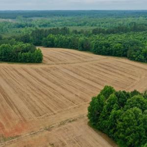 Photo #8 of SOLD property in Off Old Macon Highway, Macon, NC 104.0 acres