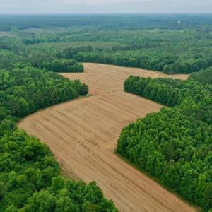 Photo #9 of SOLD property in Off Old Macon Highway, Macon, NC 104.0 acres