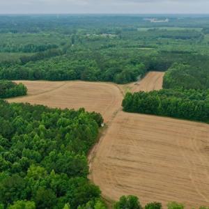 Photo #10 of SOLD property in Off Old Macon Highway, Macon, NC 104.0 acres