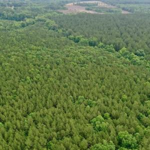 Photo #14 of SOLD property in Off Old Macon Highway, Macon, NC 104.0 acres