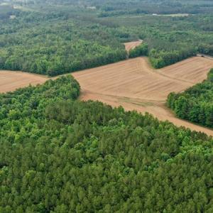 Photo #21 of SOLD property in Off Old Macon Highway, Macon, NC 104.0 acres