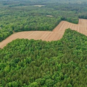 Photo #22 of SOLD property in Off Old Macon Highway, Macon, NC 104.0 acres