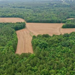 Photo #23 of SOLD property in Off Old Macon Highway, Macon, NC 104.0 acres
