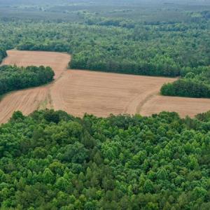Photo #24 of SOLD property in Off Old Macon Highway, Macon, NC 104.0 acres