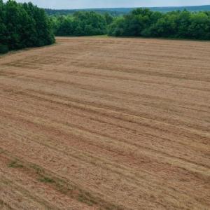 Photo #25 of SOLD property in Off Old Macon Highway, Macon, NC 104.0 acres
