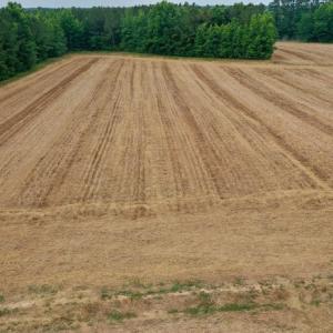Photo #26 of SOLD property in Off Old Macon Highway, Macon, NC 104.0 acres