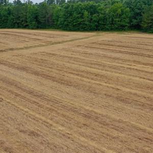 Photo #27 of SOLD property in Off Old Macon Highway, Macon, NC 104.0 acres