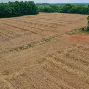 Photo #28 of SOLD property in Off Old Macon Highway, Macon, NC 104.0 acres
