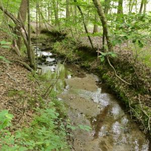 Photo #33 of SOLD property in Off Old Macon Highway, Macon, NC 104.0 acres