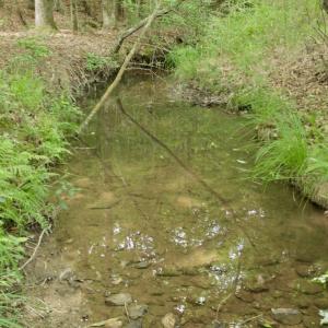 Photo #34 of SOLD property in Off Old Macon Highway, Macon, NC 104.0 acres