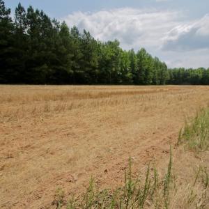 Photo #41 of SOLD property in Off Old Macon Highway, Macon, NC 104.0 acres