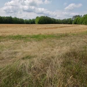 Photo #42 of SOLD property in Off Old Macon Highway, Macon, NC 104.0 acres