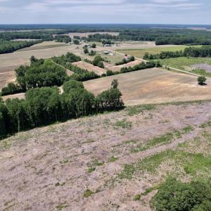 Photo #10 of SOLD property in Off Baker's School Road, Scotland Neck, NC 12.6 acres