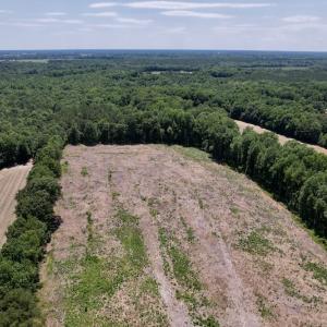 Photo #11 of SOLD property in Off Baker's School Road, Scotland Neck, NC 12.6 acres
